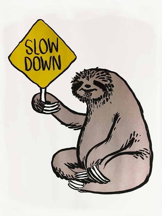 Slow Down 🐢🛑🚦🐌