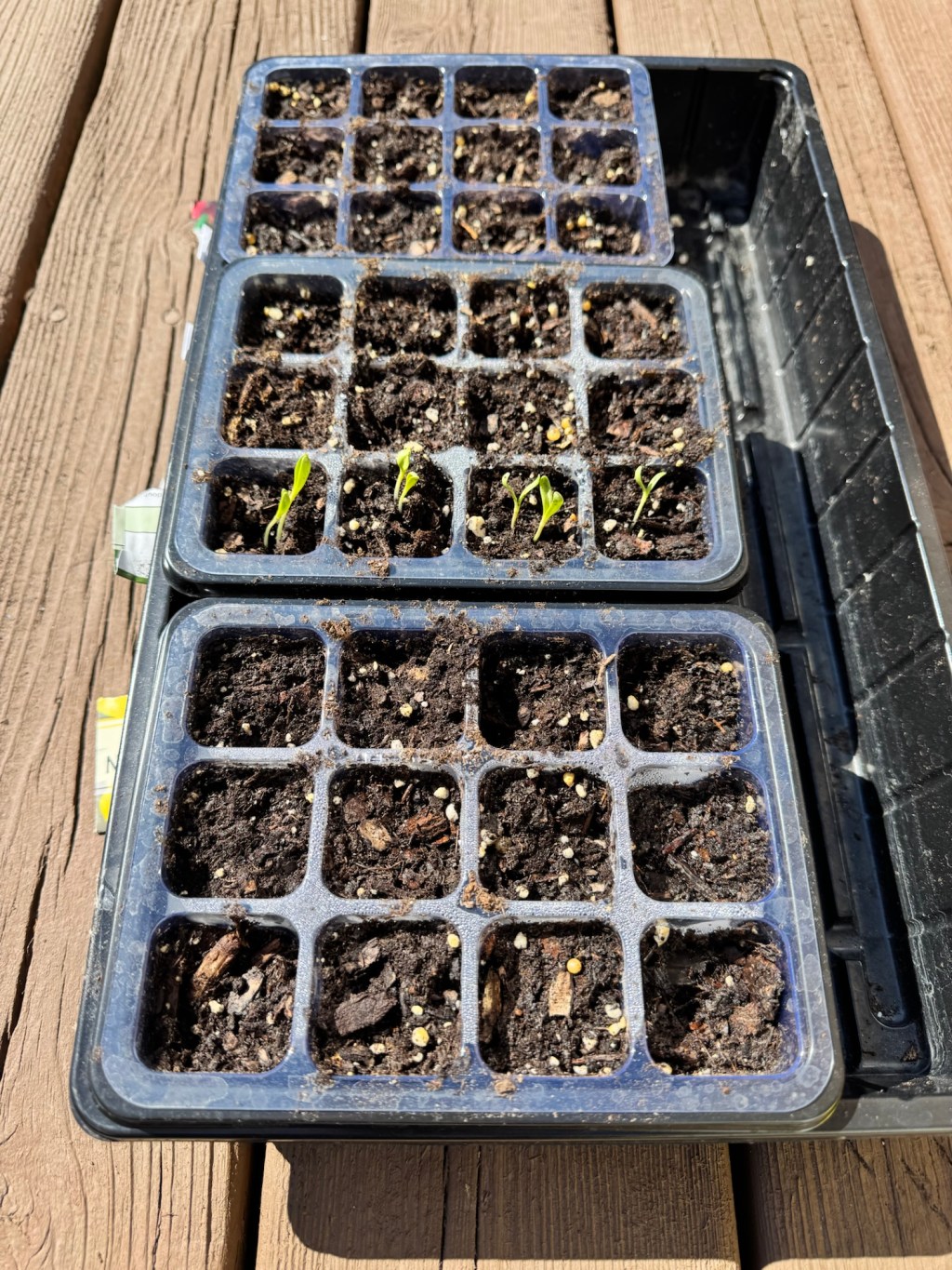 Gettin’ Dirty With It (Credit: Will&nbsp;Smith)