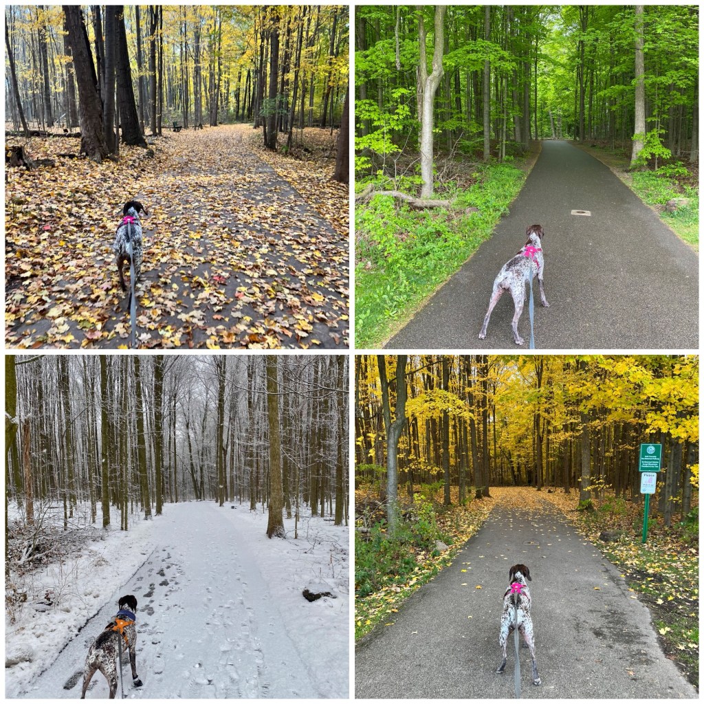 All Year Round&nbsp;Baby!