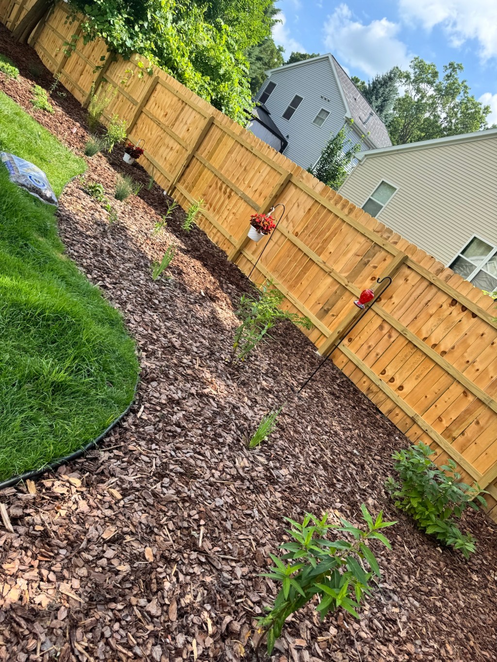 Digging Deeper; Growth you can&nbsp;See