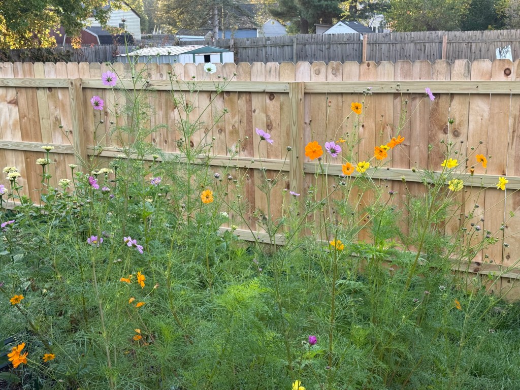 Pain Behind the&nbsp;Medication