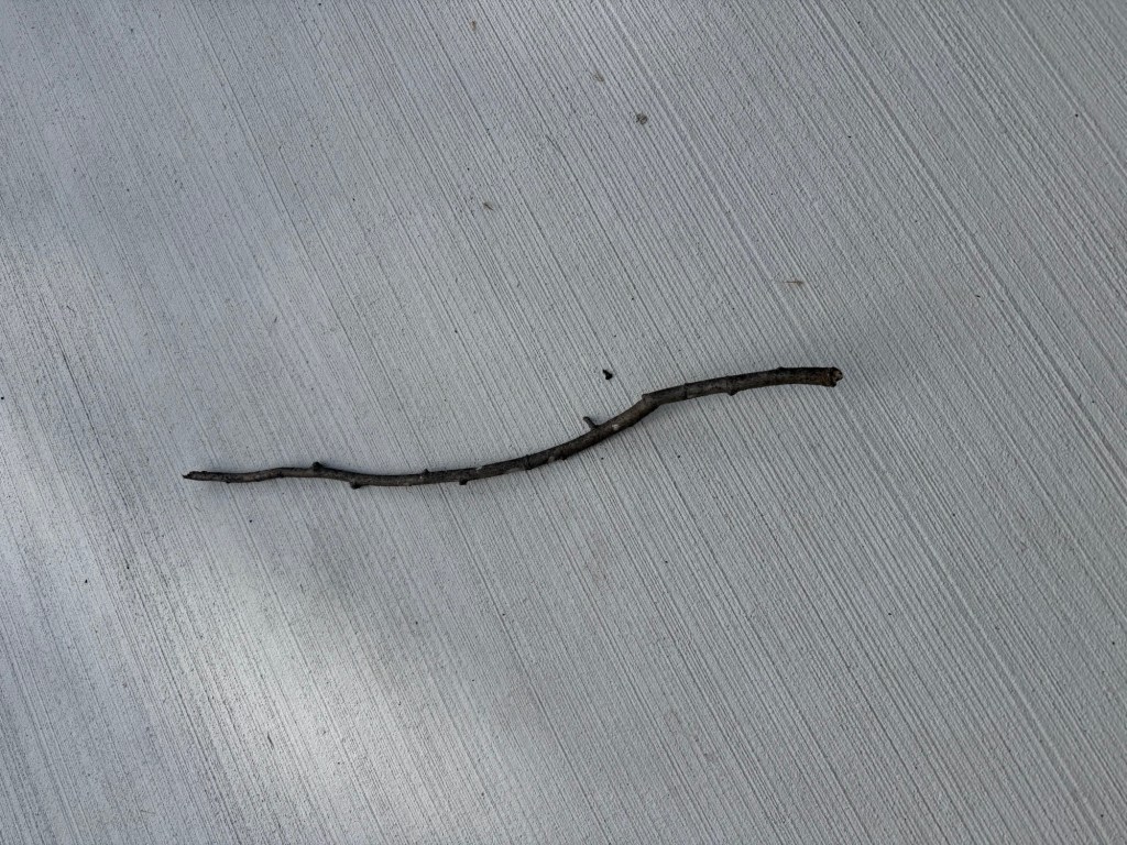 The Stick